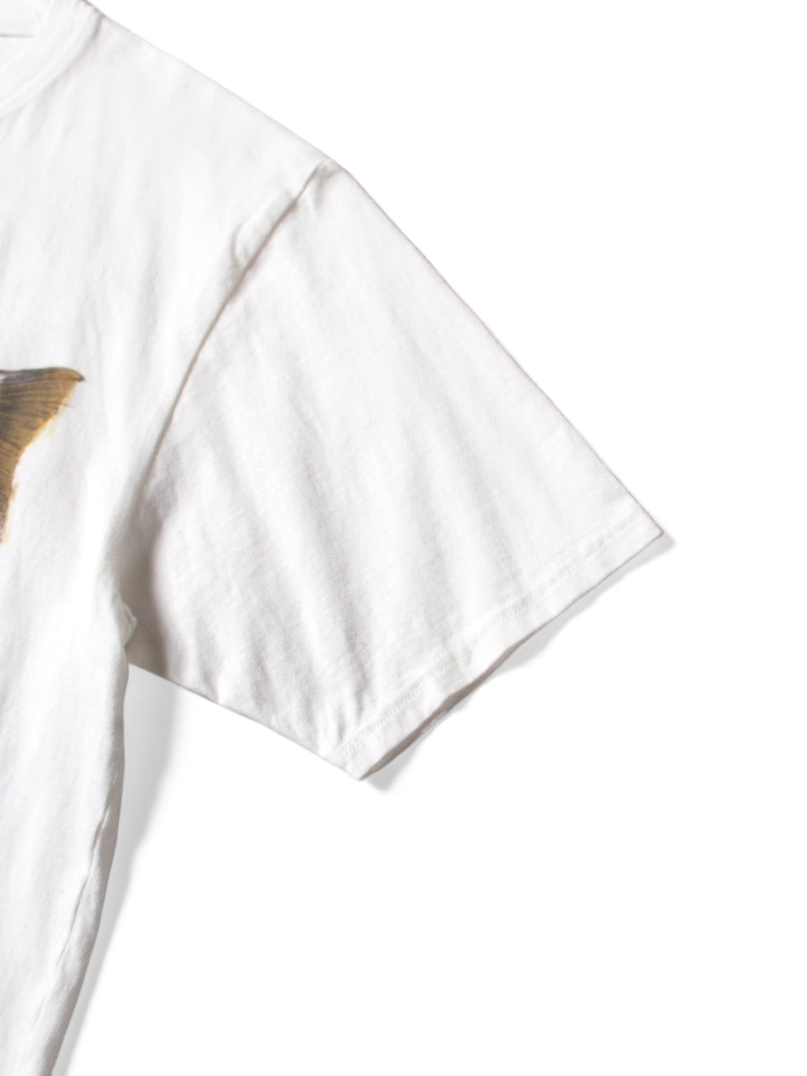 Kapital Jersey Crew T Shirt (2 Trout Peckish Rainbowy Print)