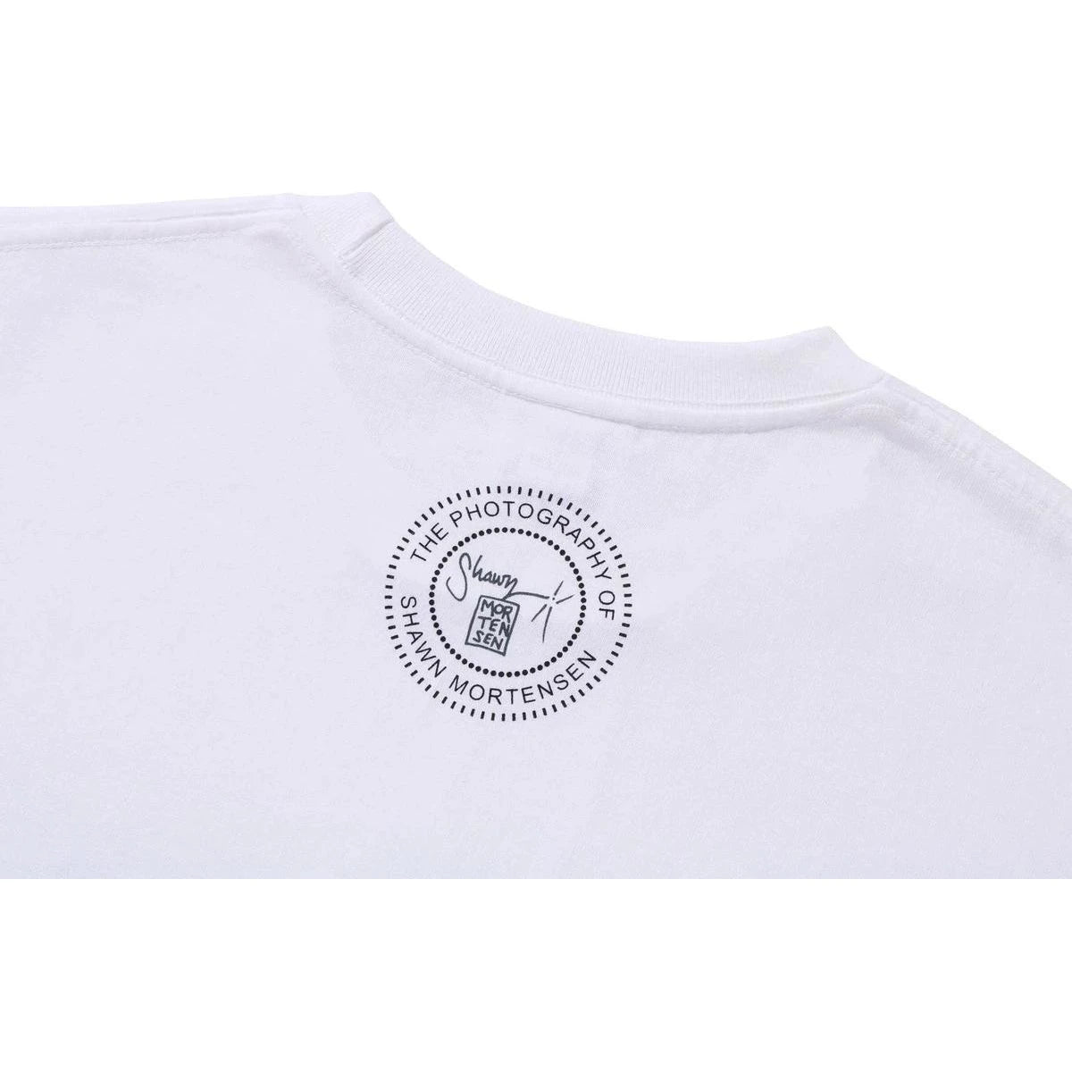 BAPE X SHAWN MORTENSEN BEASTIE BOYS TEE