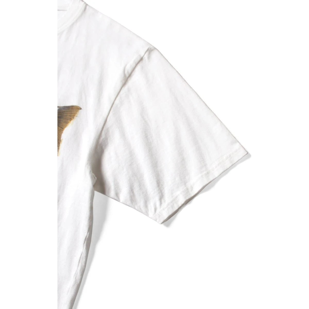 Kapital Jersey Crew T Shirt (2 Trout Peckish Rainbowy Print)