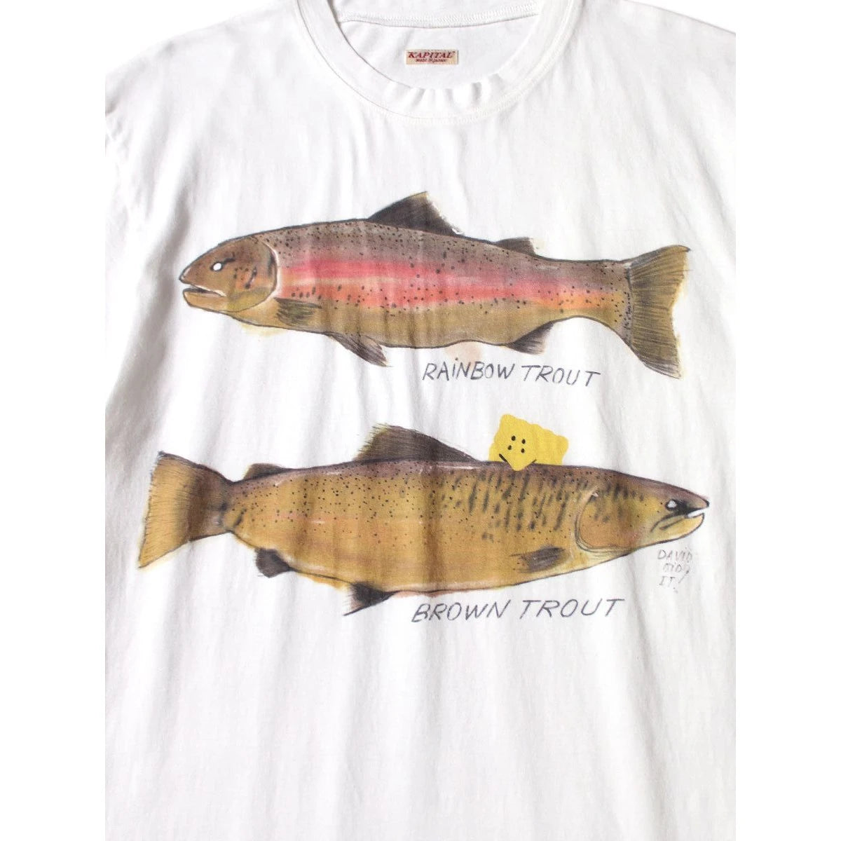 Kapital Jersey Crew T Shirt (2 Trout Peckish Rainbowy Print)