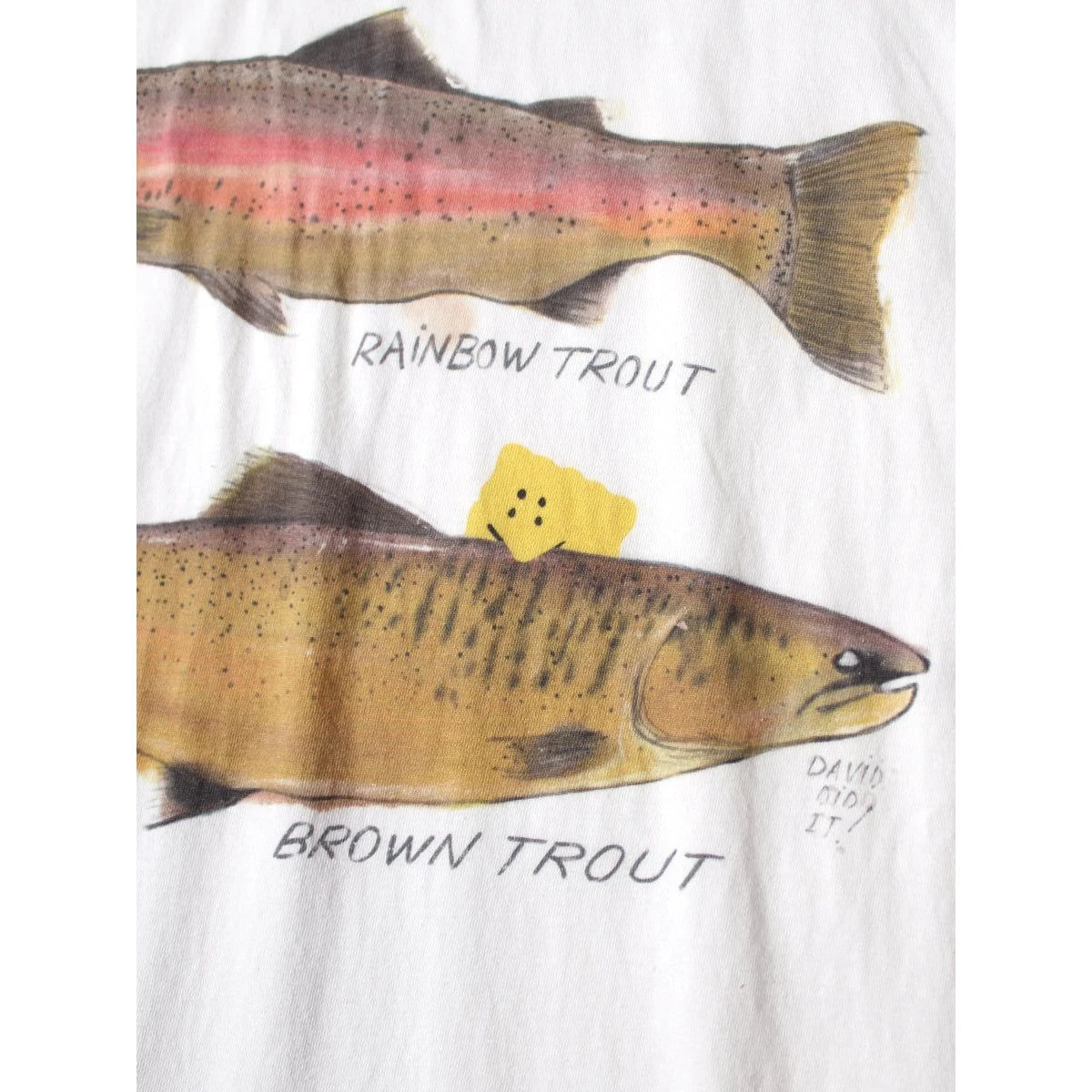 Kapital Jersey Crew T Shirt (2 Trout Peckish Rainbowy Print)