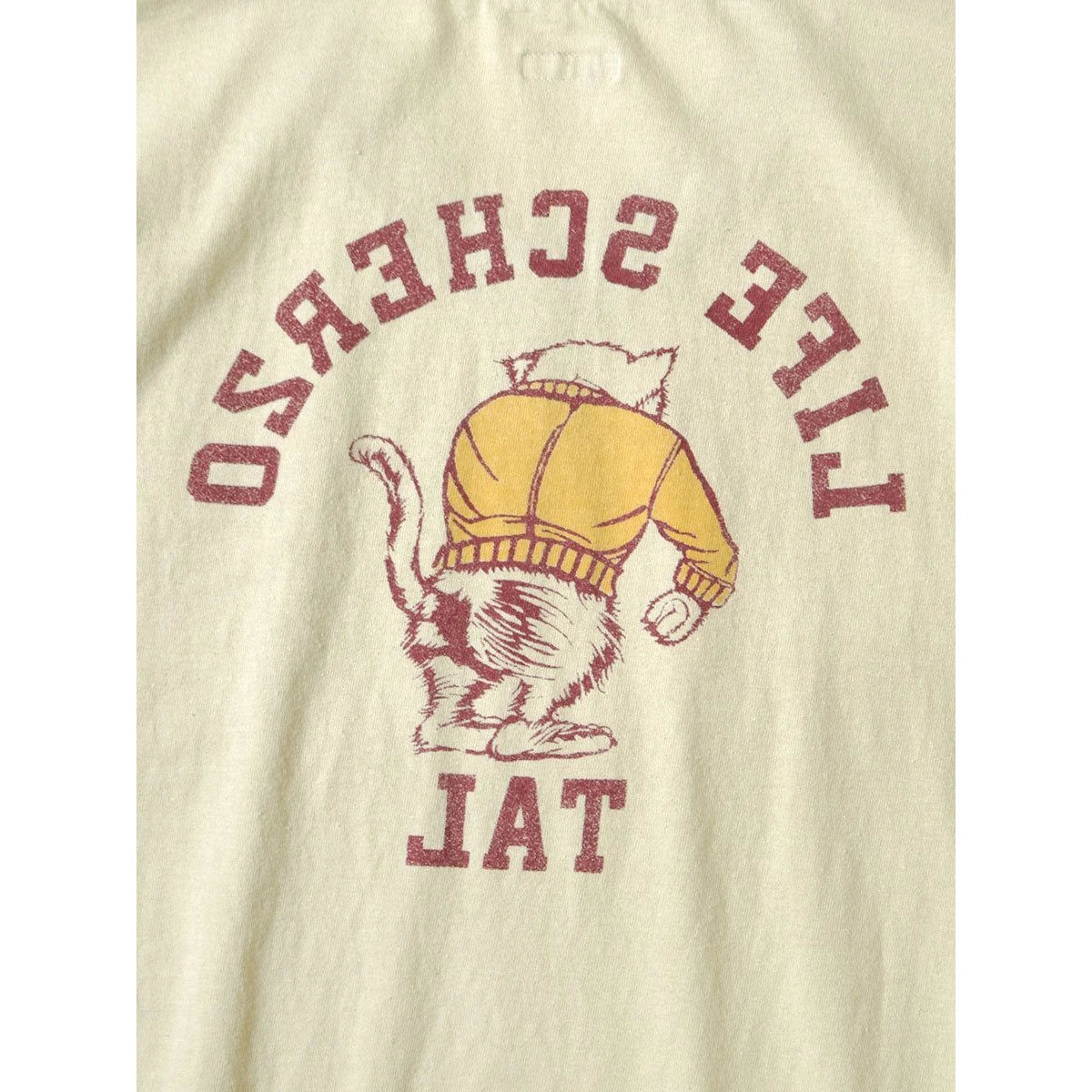 Kapital Jersey V Neck Ringer T (College Catpitalpt)