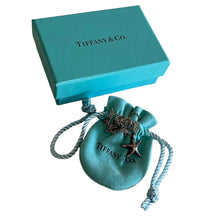 Load image into Gallery viewer, Tiffany &amp; Co Elsa Peretti Starfish Pendant