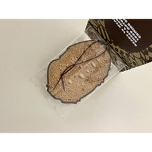Load image into Gallery viewer, Bape Cookie Camo Car Freshener (2009)